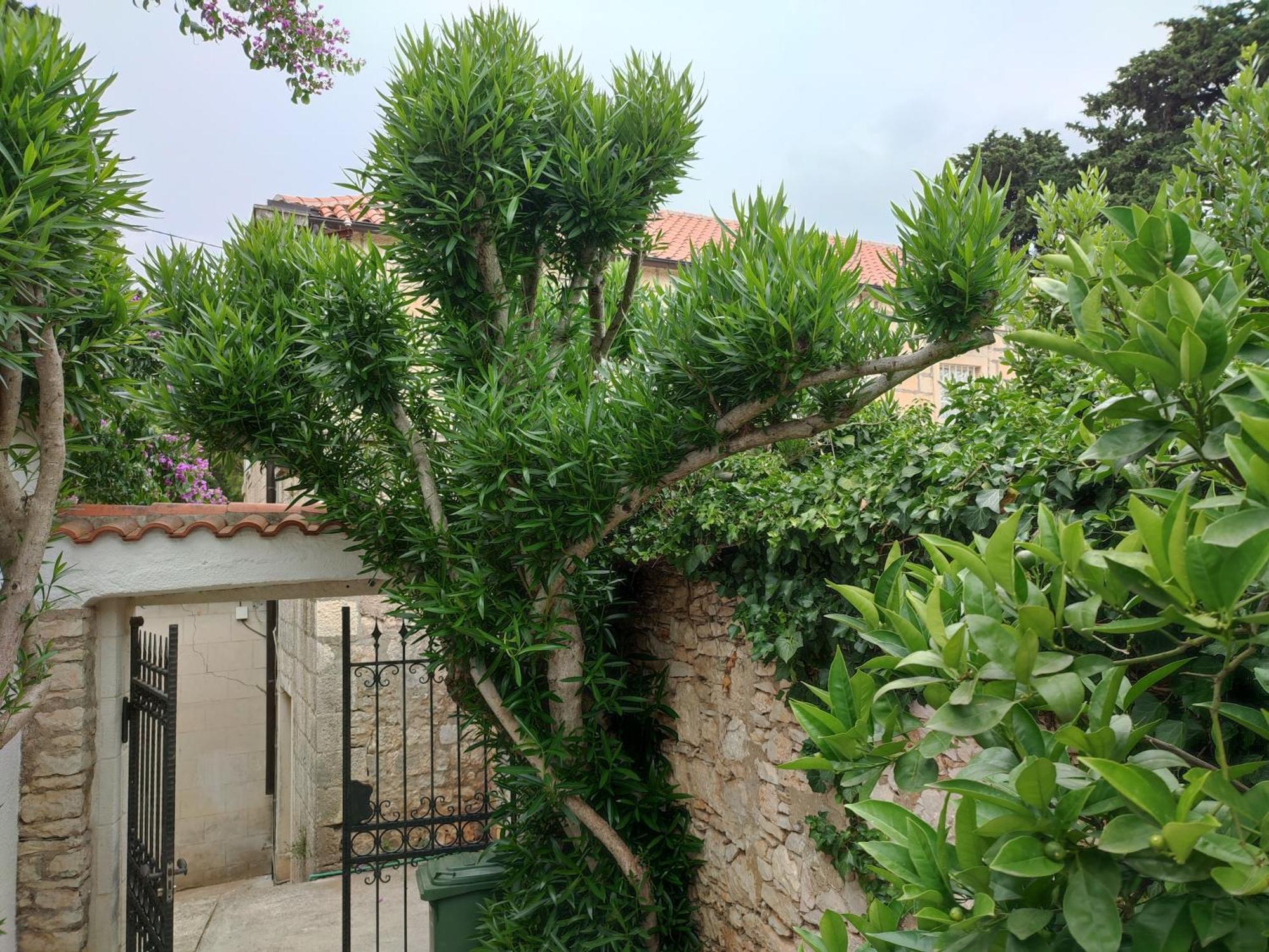 Villa Rustika Sutivan Ngoại thất bức ảnh